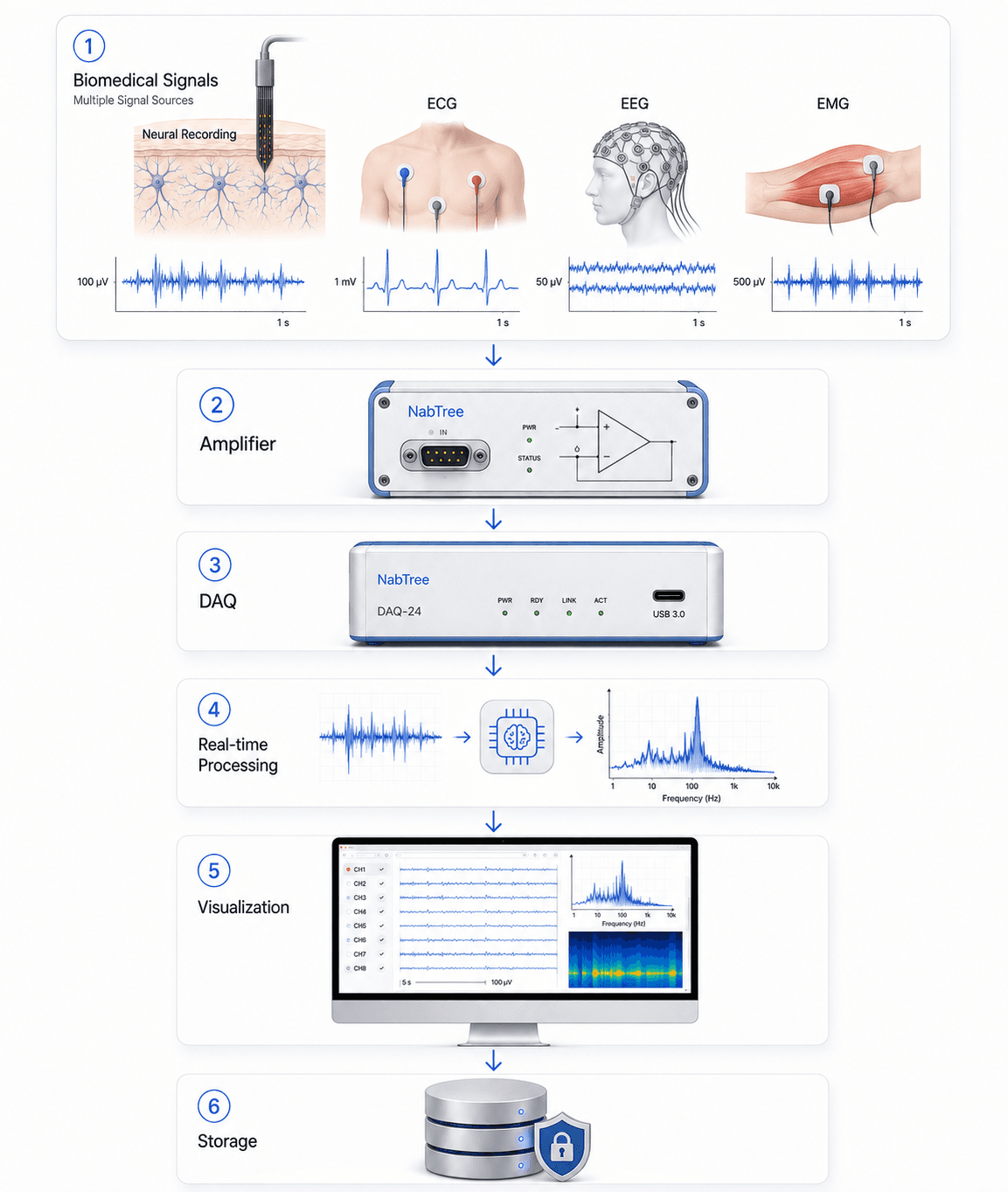 Biomedical Instrumentation